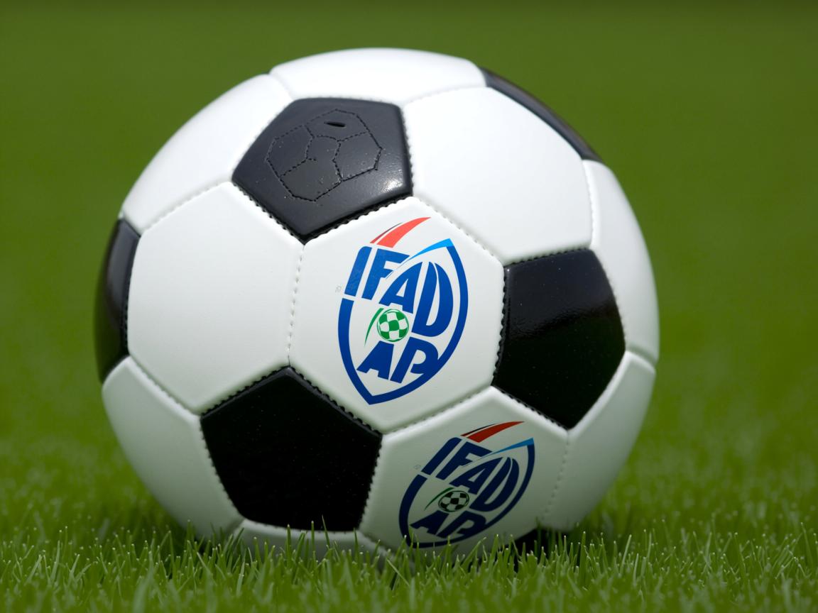 开云体育app在线-CBA球队拓展训练内容融入心理建设模块，cba培训班  第3张