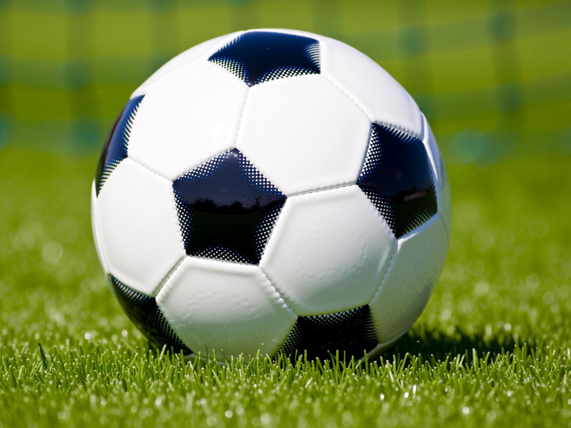 开云在线登入-新加坡队未来战略：如何在团体赛中发挥更强大的集体优势，新加坡联赛  第2张