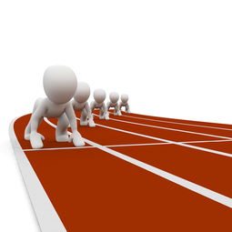 开云体育app-全运会筹备工作进入冲刺阶段，全运会备战方案